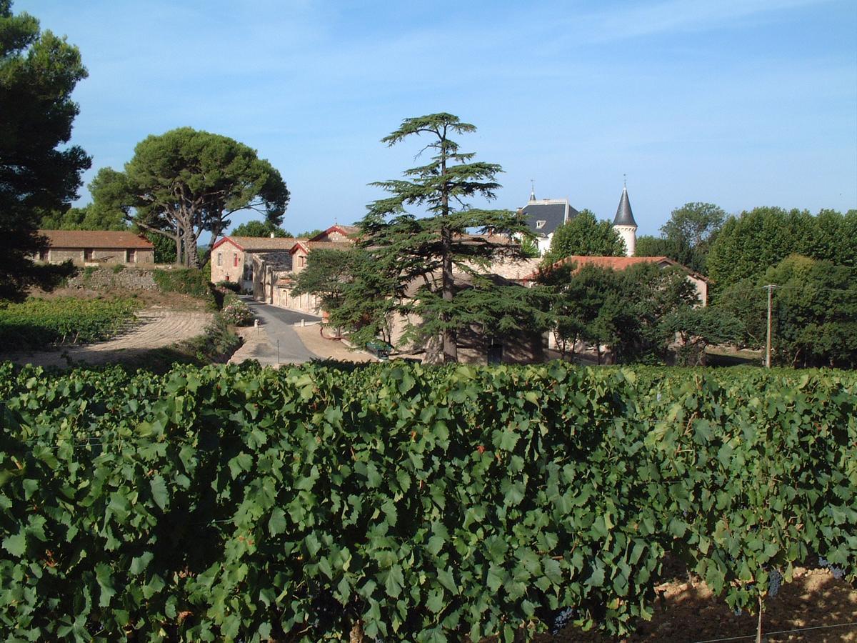 Chateau Saint Martin De Graves Aumes Exteriör bild