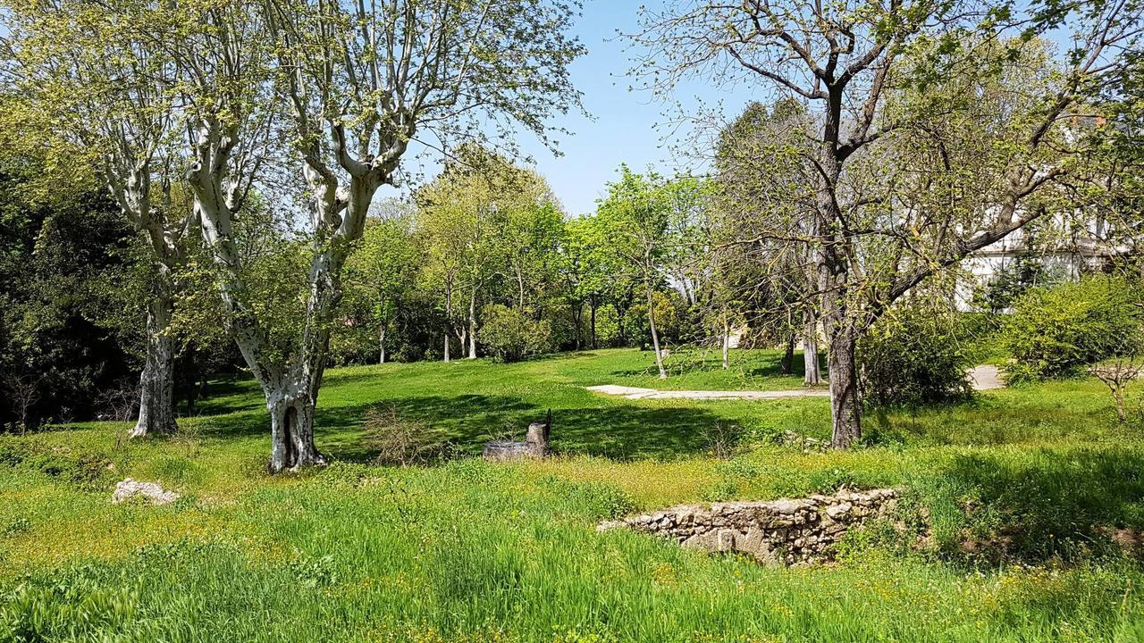 Chateau Saint Martin De Graves Aumes Exteriör bild